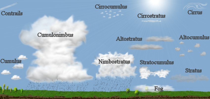 Graphical representation of meteorological clouds at different altitudes. By Christopher M. Klaus at w:en:Argonne National Laboratory - Own work by en:User:Klaus, Public Domain, https://commons.wikimedia.org/w/index.php?curid=2760873